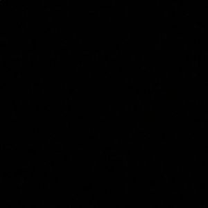 Meet your Posher, Paige